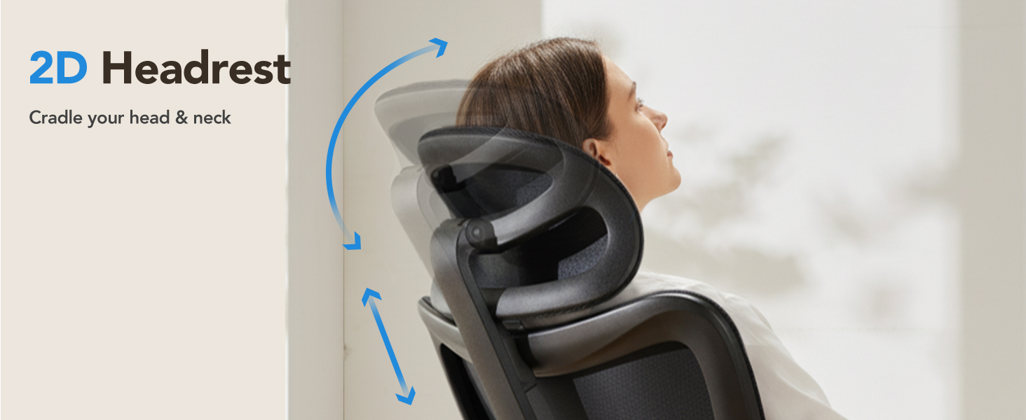 Ergonomic Office Chair
