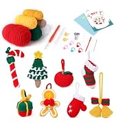 AIERSA Christmas Crochet Beginners Kit, Crochet Starter Knitting Kit for Adults &amp; Kids with Yarn ...