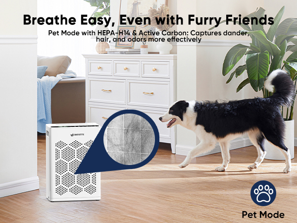 air purifier for pets