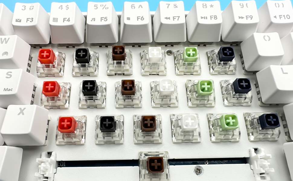 Kailh Box Series Switches