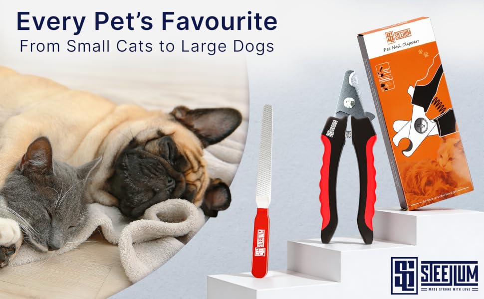 Every Pet&amp;#39;s Favourite