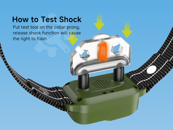 shock collar