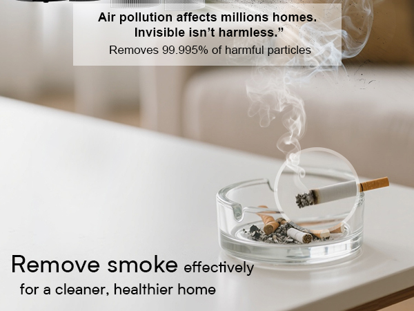 hepa air purifiers for home