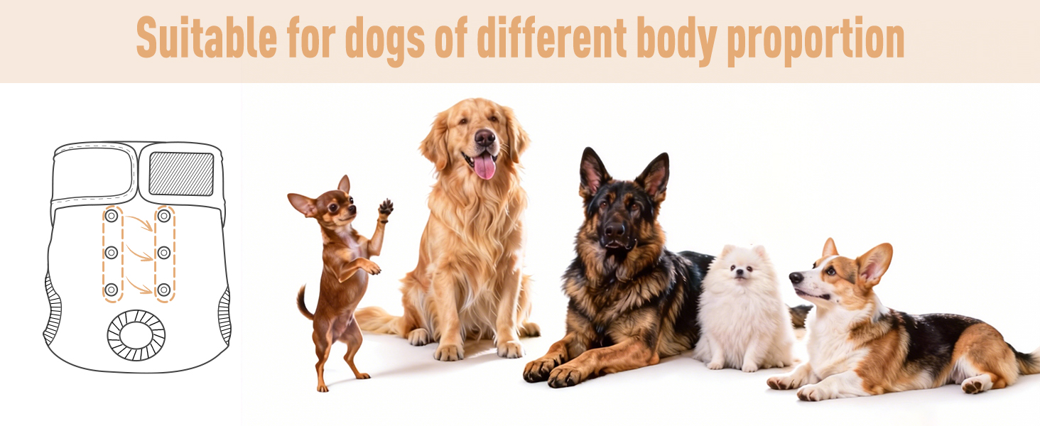 Dog Diapers Female