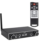 PNWCZ 2-Channel Professional Stereo Receiver Amplifier Compatible with 5.3Bluetooth Mini Audio AV...