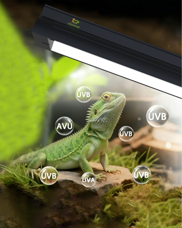 https://m.media-amazon.com/images/S/aplus-media-library-service-media/13465886-7d6e-4f03-8e9c-502465356b15.__CR0,0,362,453_PT0_SX362_V1___.png