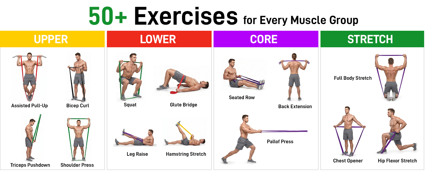 50+ Exercises for Every Muscle Group