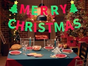 Merry Christmas Party Banner
