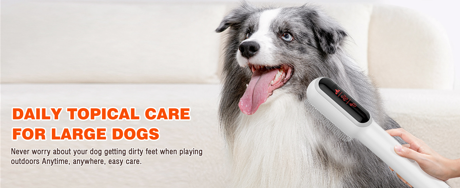 Dog Dryer for Pet Grooming