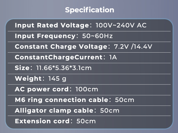 12V LiFePO4 Battery Charger