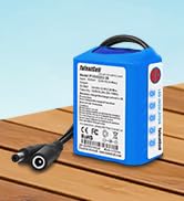 Talentcell 12V Rechargeable Lithium ion Battery Pack with Charger, 5200mAh Batteries with DC 12V ...