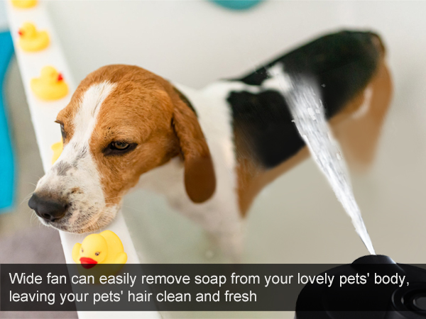 shower head for dog