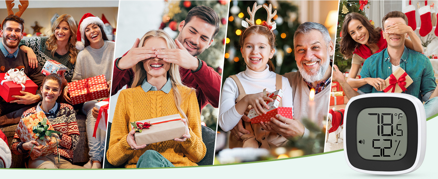 Refrigerator Thermometer