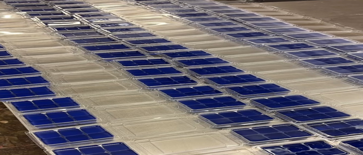 //c1.neweggimages.com/sellingpilot/modules/product/a-plus/d202d5477b9f75b3f7758b325ec5dde9bd87f8fb7ebdb546450d3bfe9a18da5e.jpg