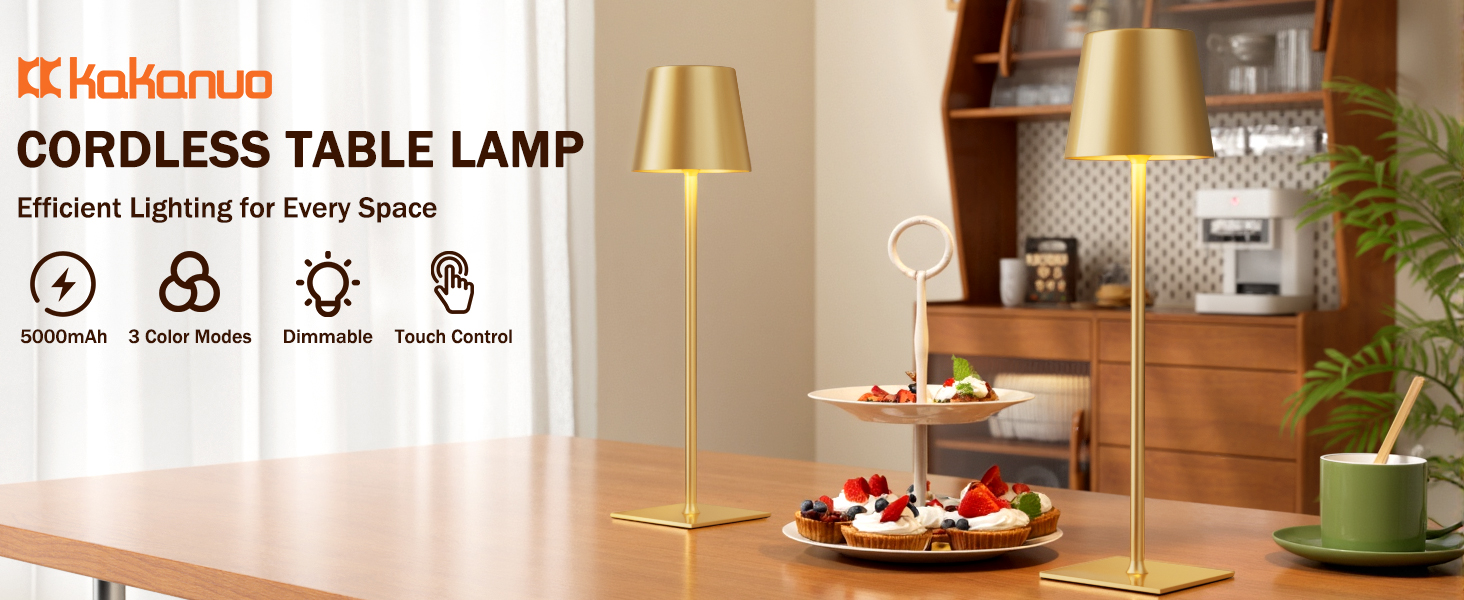 cordless lamp for dining