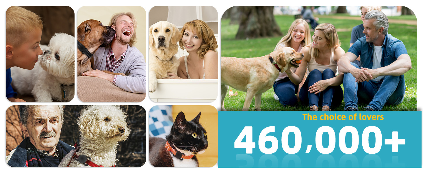 Popular pet trackers