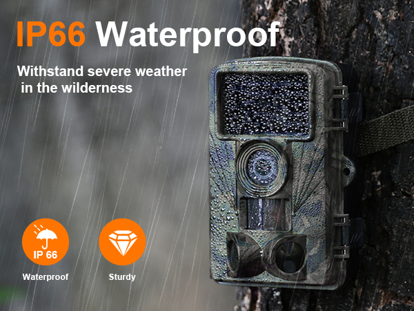 wildlife camera