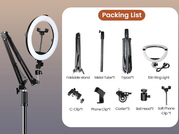 overhead phone mount