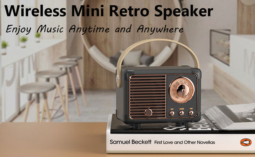 portable wireless speaker