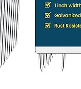 Tent Stakes