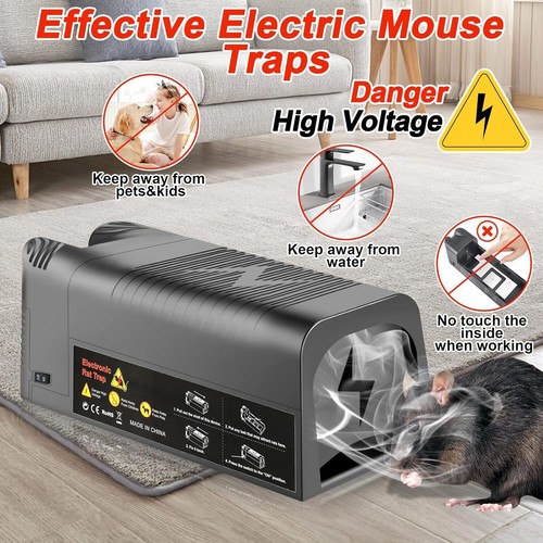 https://i.ebayimg.com/00/s/MTUwMFgxNTAw/z/1DEAAeSwMJlotUZI/$_12.JPG?set_id=880000500F