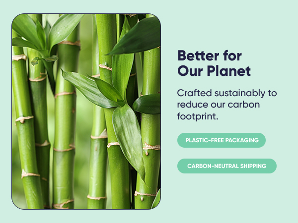 toilet paper bamboo ply free organic recycled septic safe individually wrapped sustainable products