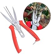 Oumefar Pruning Shears, Stainless Steel Forging Pear Tree Garden Scissors for Plant, Double Mouth...