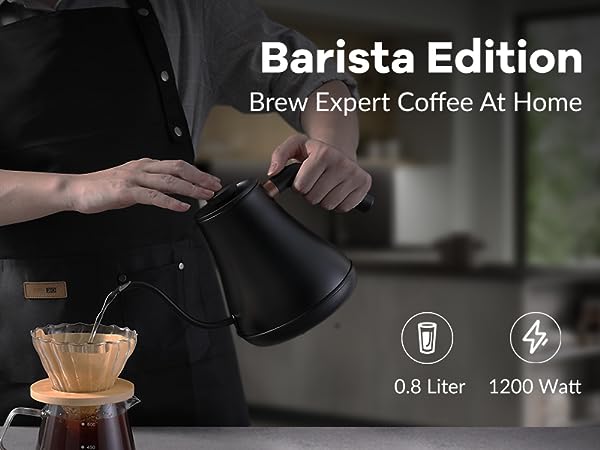 Electric Gooseneck Kettle
