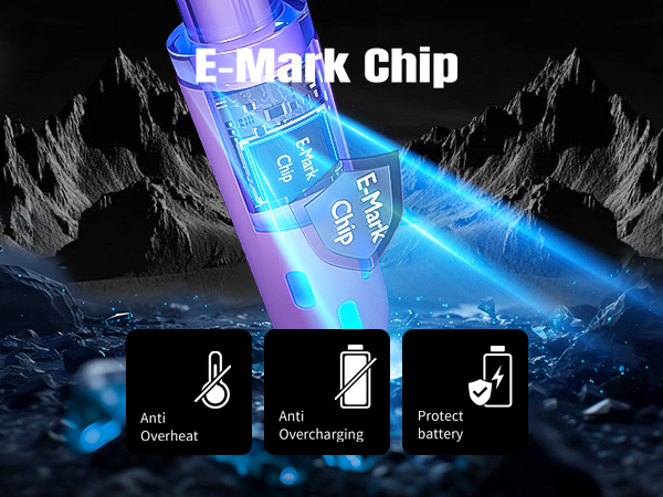 Emark Safe Chip