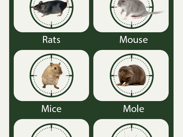 rodent repellent