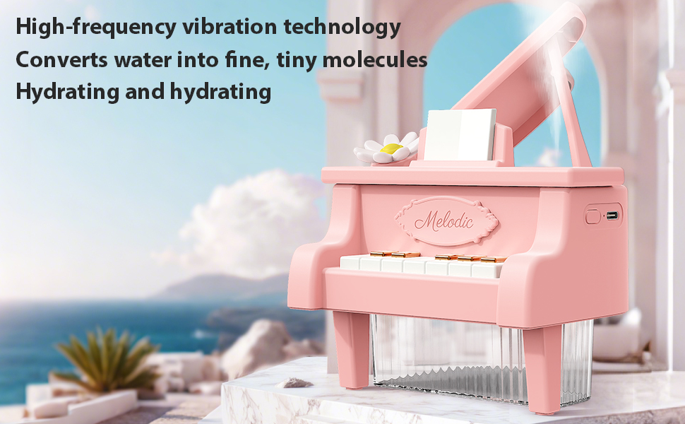 The portable humidifier