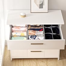 bra organizer