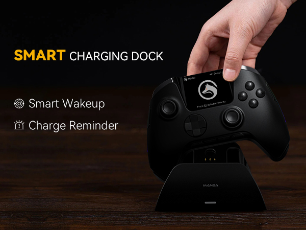 switch pro controller