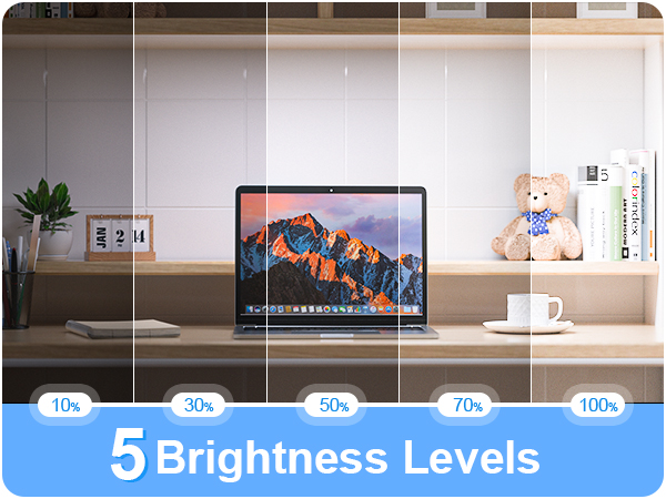 Laptop on desk with mountain wallpaper. Shows 5 brightness levels from 10% to 100%. Includes plant, mug, and teddy bear on shelf.