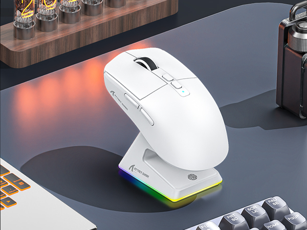 BT/2.4G Wireless mouse Wired Mouse