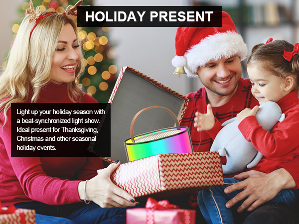 Mini Karaoke Machine, Bluetooth Karaoke Speaker with 2 Wireless Microphones