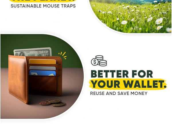 Humane Mouse Trap