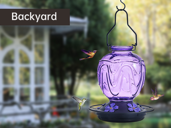 hummingbird feeder glass