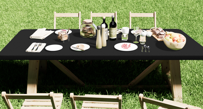 Picnic