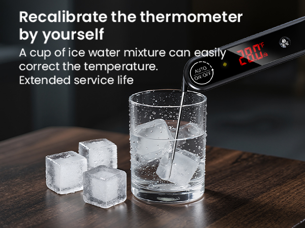 meat thermometer
