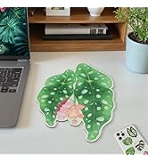 Baziabbo Plant Leaf Design Mouse Pad,12.2×8.4inch Small Mousepad with Premium PU Leather Surface,...