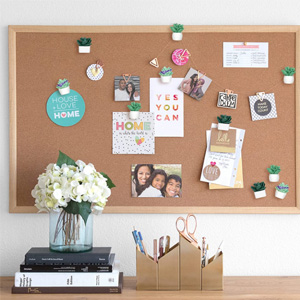 Cute Succulent Plants Decorative Push Pins Colorful Floret Thumbtacks for Photo Wall, Feature Wall