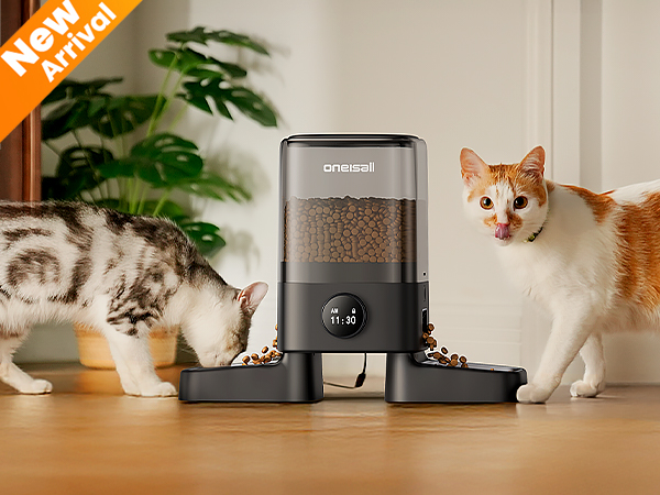 Automatic cat feeder