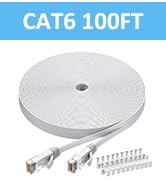 Ethernet cable 100ft