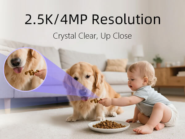 2.5K/4MP Resolution