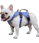 Escape Proof Dog Harness