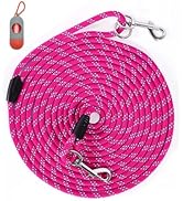 Long Dog Leash for Dog Training 30FT, Heavy Duty Dog Lead for Large Medium Small Dogs Outside Wal...