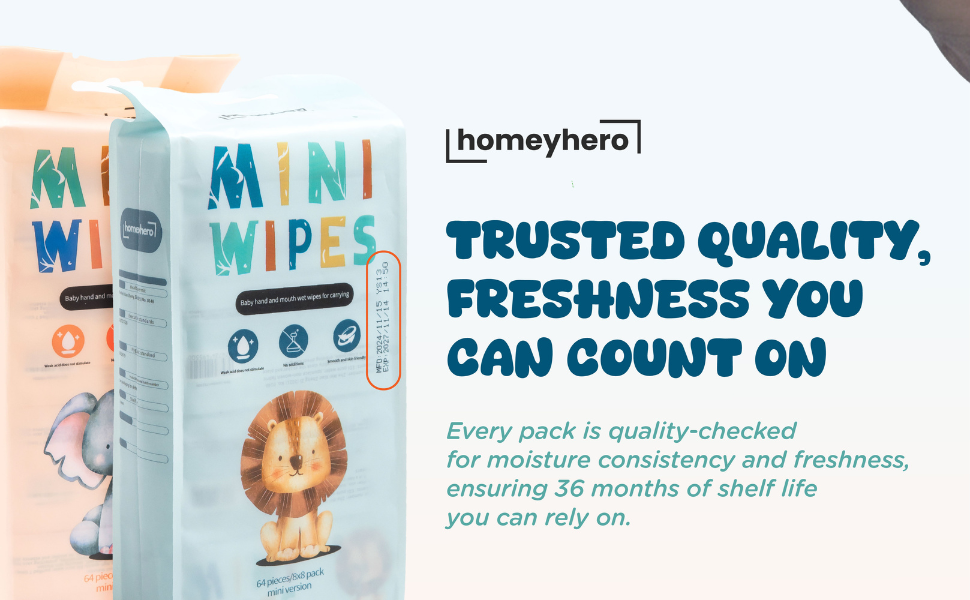 travel wipes baby