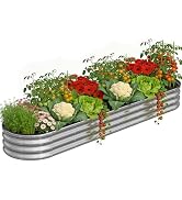 Anmiro Galvanized Raised Garden Bed Kit Outdoor,8x2x1ft Oval Metal Galvanized Planter Garden Boxe...