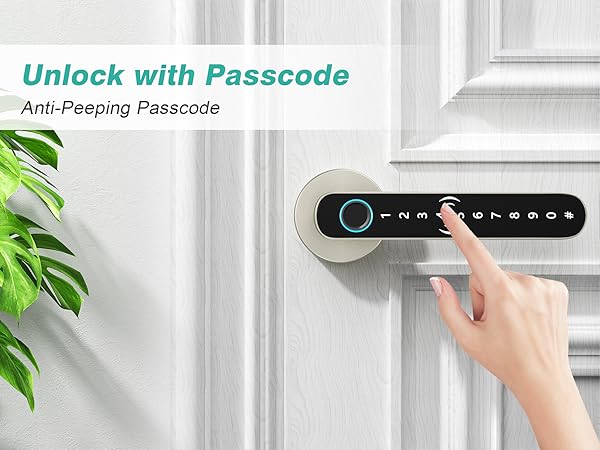 biometric front door lock